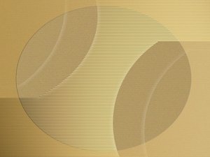 模型剪枝操作流程详解